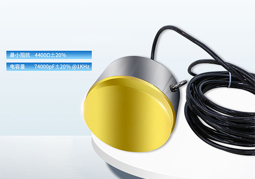 超聲波驅(qū)魚換能器