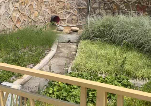 超聲波多普勒流速儀